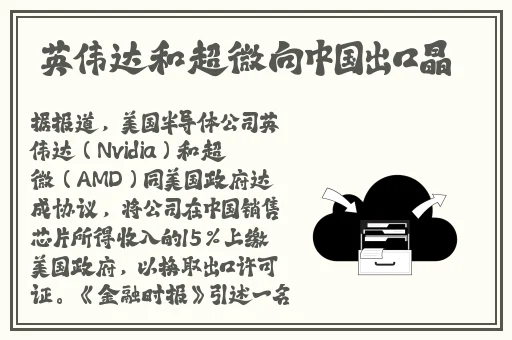 大菠萝18